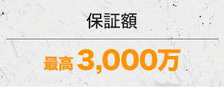 保証額 最高　3,000万